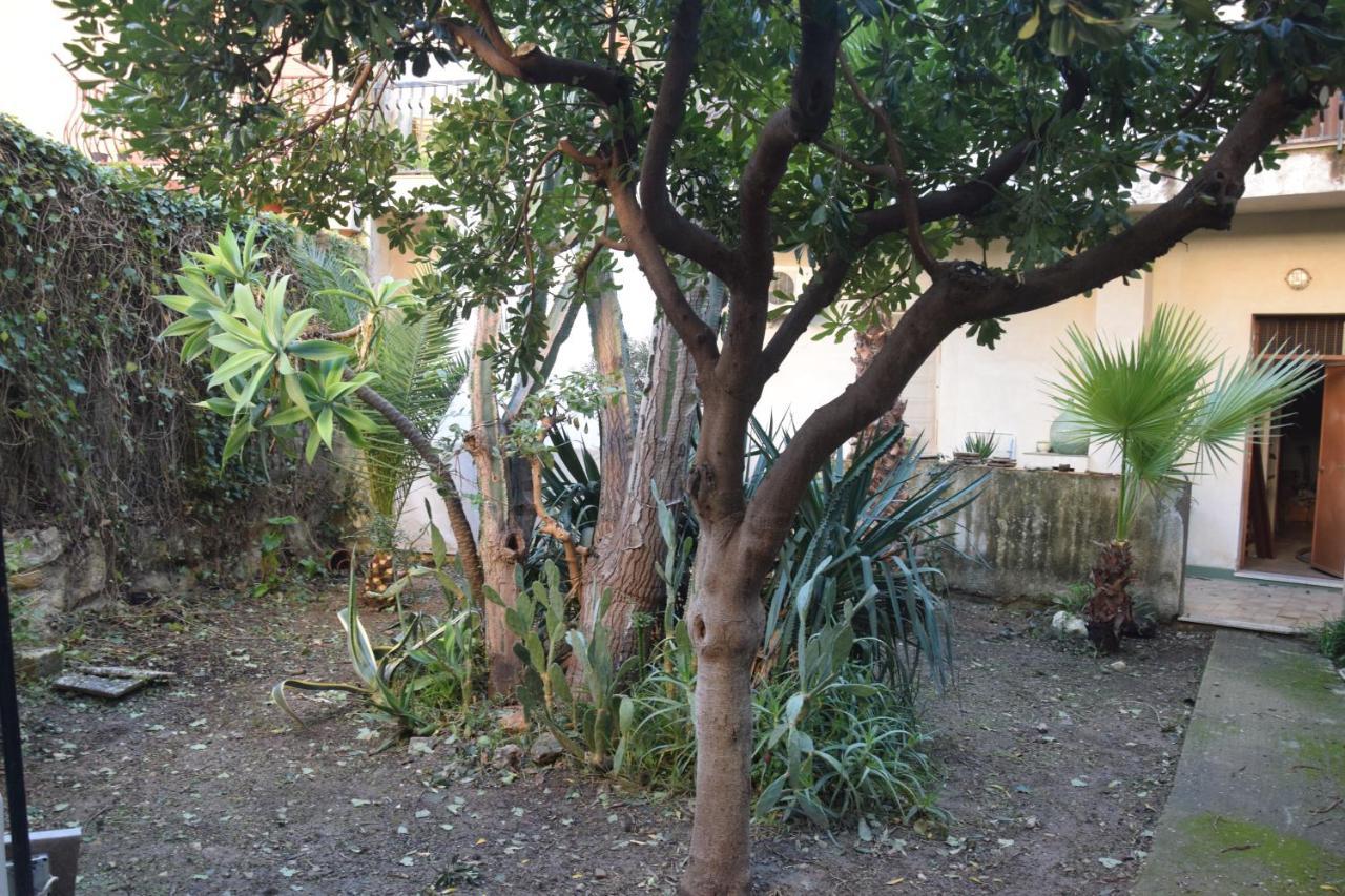 Artroom Garden Noto Kültér fotó