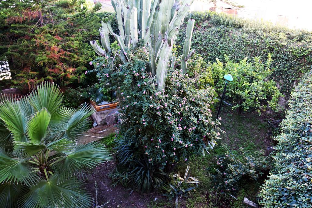 Artroom Garden Noto Kültér fotó